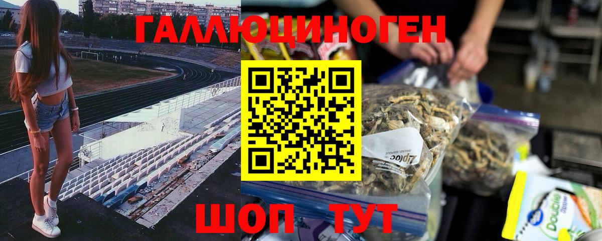 Псилоцибиновые грибы Cubensis  Вход с VPN  Кинешма 