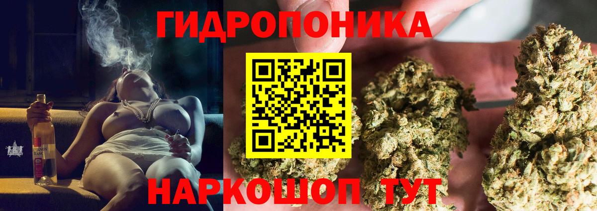 Бошки Шишки сатива Кинешма